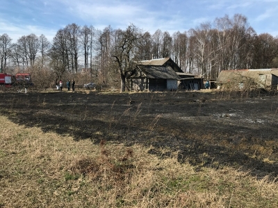Загорание сухой растительности в д. Ржавка Славгородского района