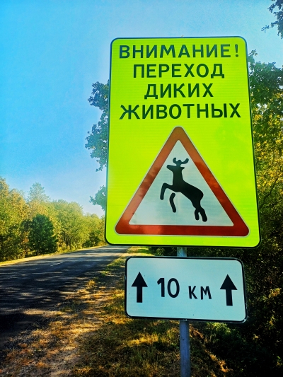Внимание, дикие животные на дороге!