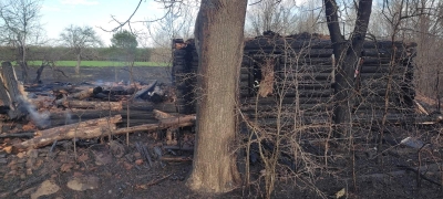 О загорании сухой растительности в деревне д.Железенка Славгородского района