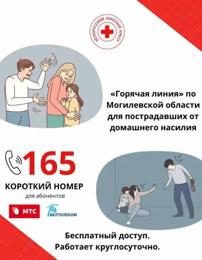 &laquo;Горячая линия&raquo; по Могилевской области для пострадавших от домашнего насилия - 195