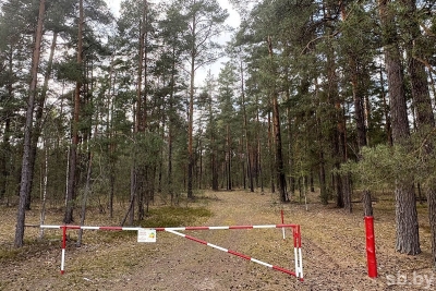 Ограничения на&nbsp;посещение лесов введены во&nbsp;всех районах Могилевской области