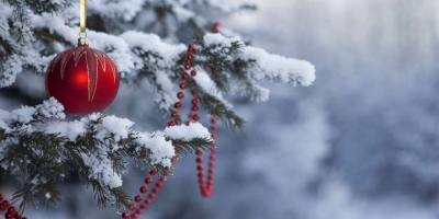 Новогодние праздничные ярмарки начнут работу с 24 декабря