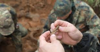 В Могилевском лесопарке выявили расположение семи расстрельных ям времен Великой Отечественной войны