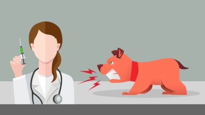 Бешенство&nbsp;&mdash; это опасно!