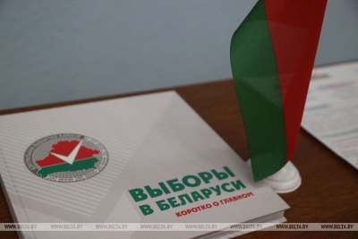  Досрочное голосование на выборах Президента проходит в Беларуси
